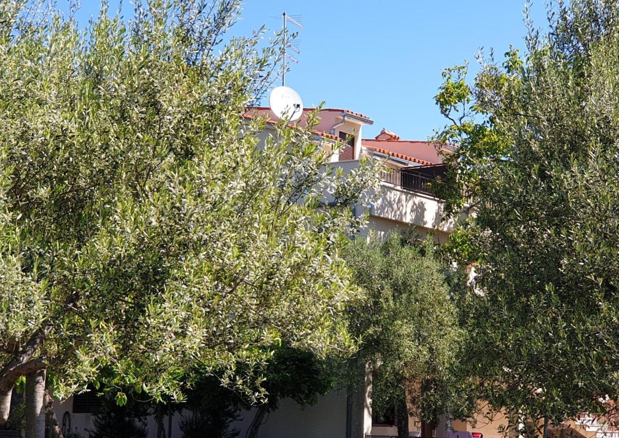 Boutique Rooms Mare Fabulas 罗维尼 外观 照片